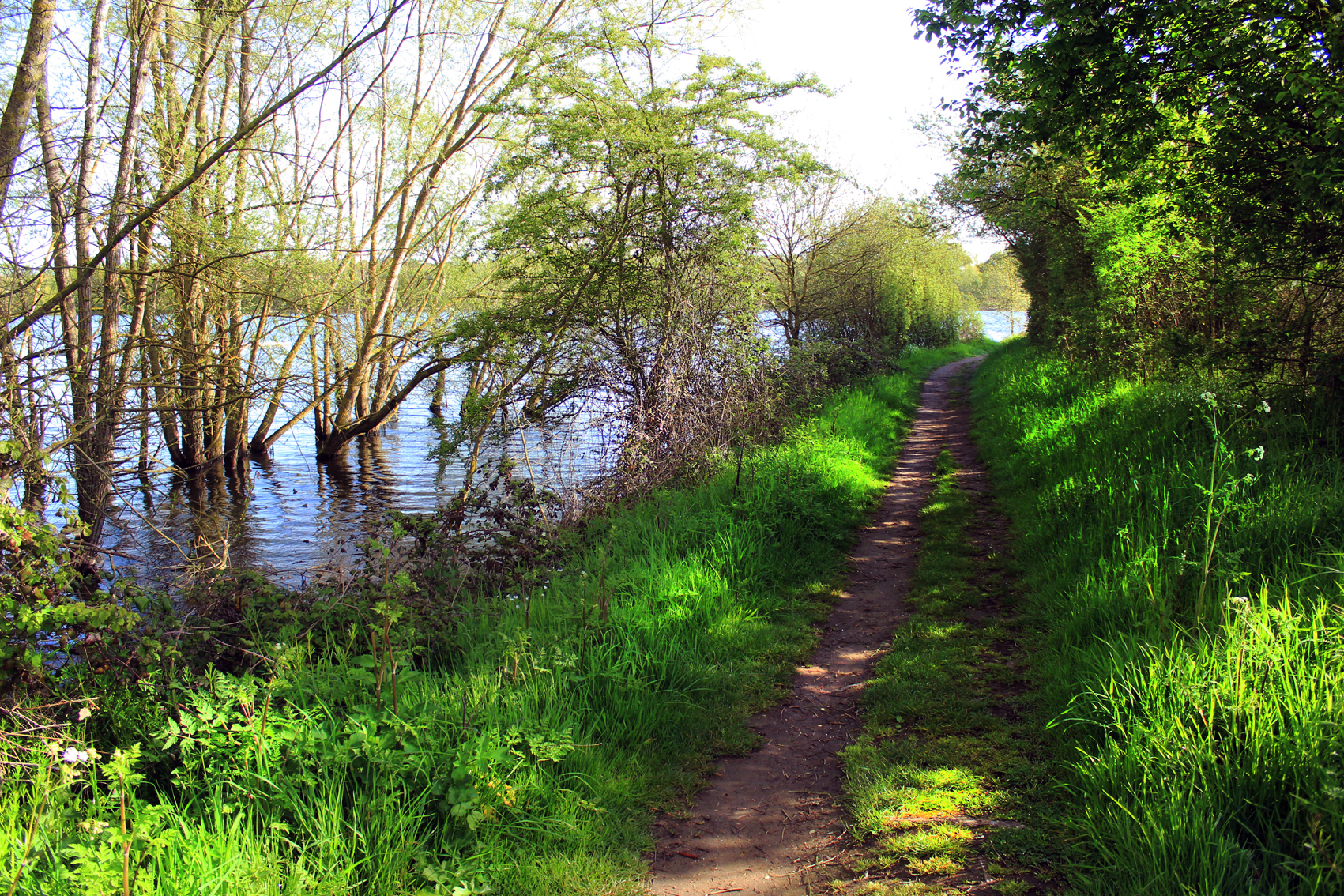 Paysage5