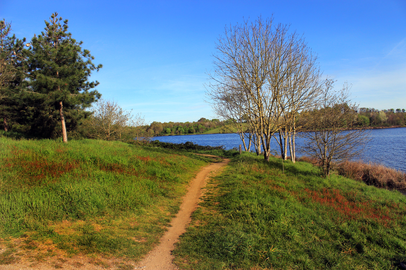 Paysage6
