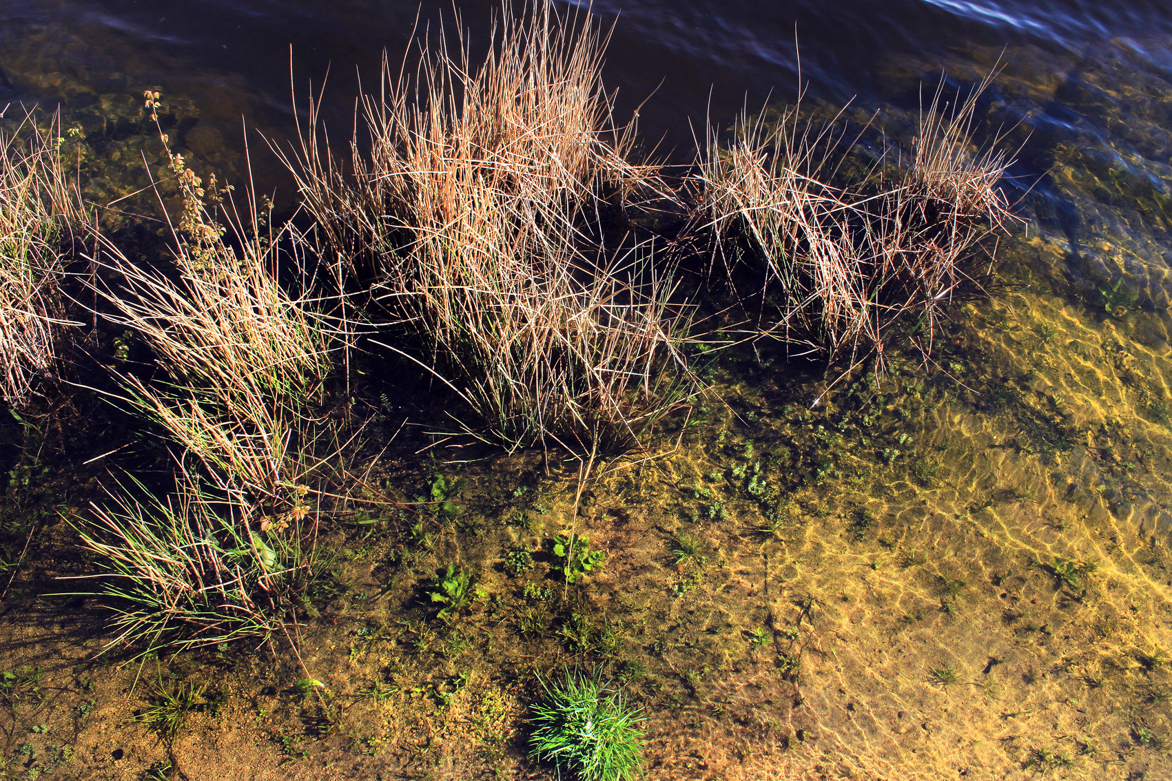 Paysage7
