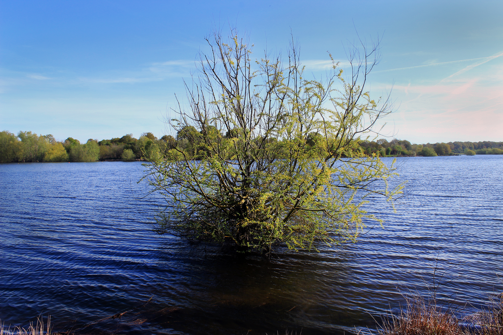 Paysage8