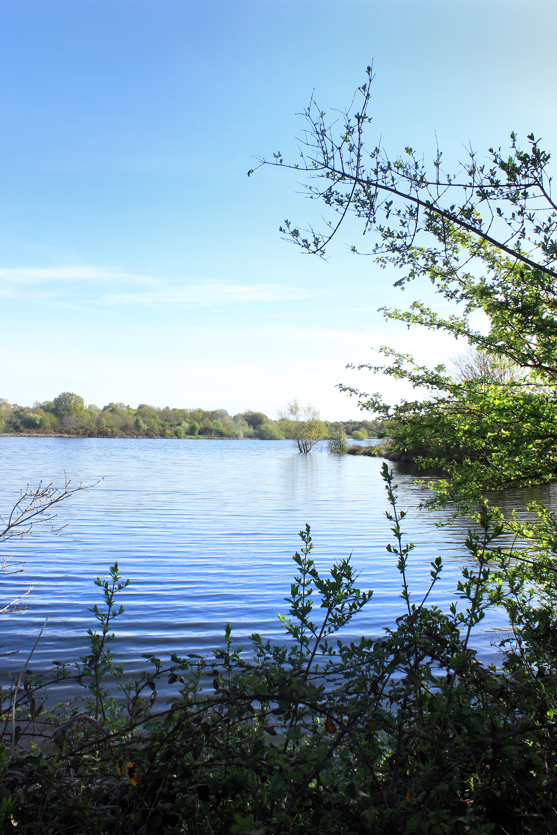 Paysage9