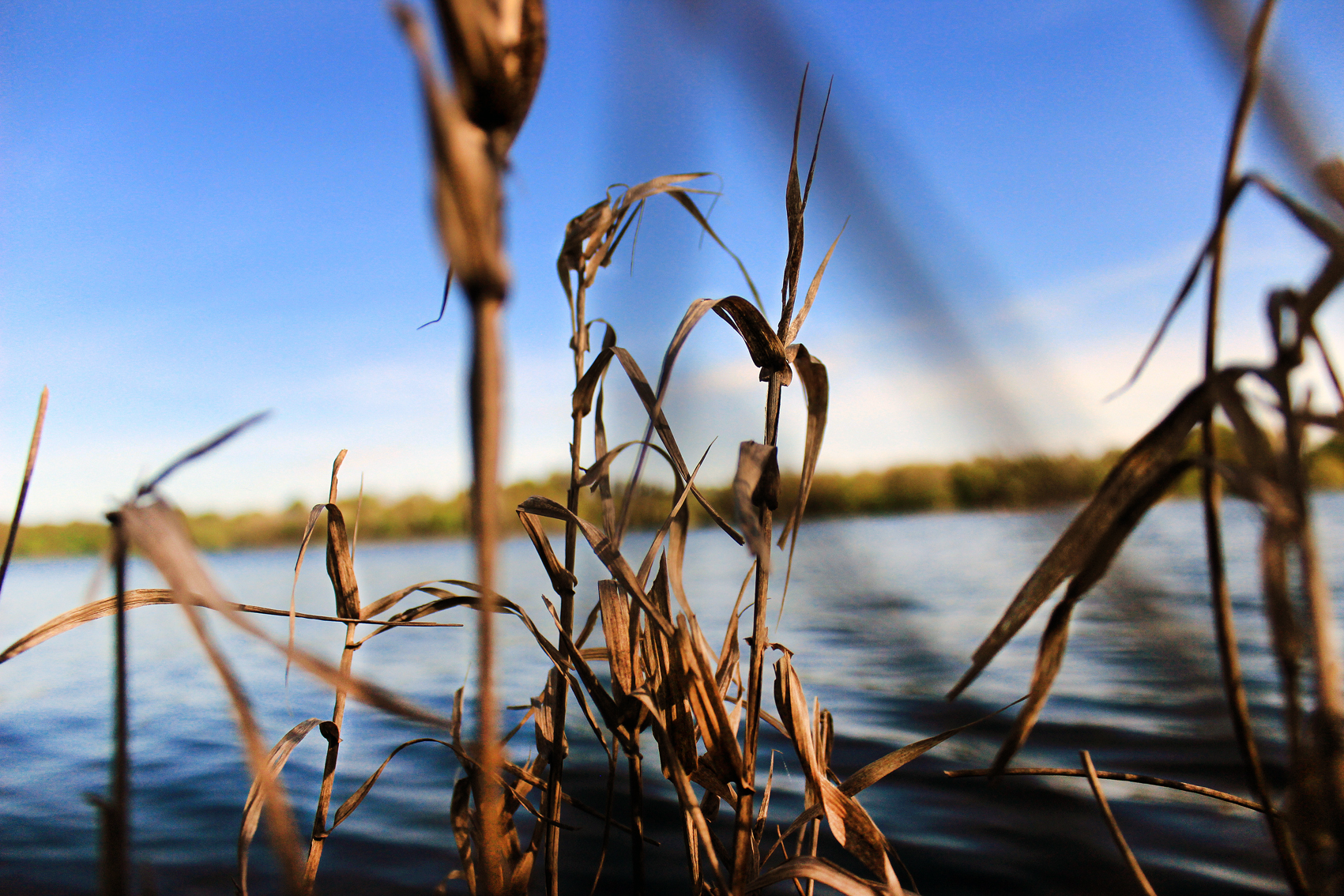 Paysage10