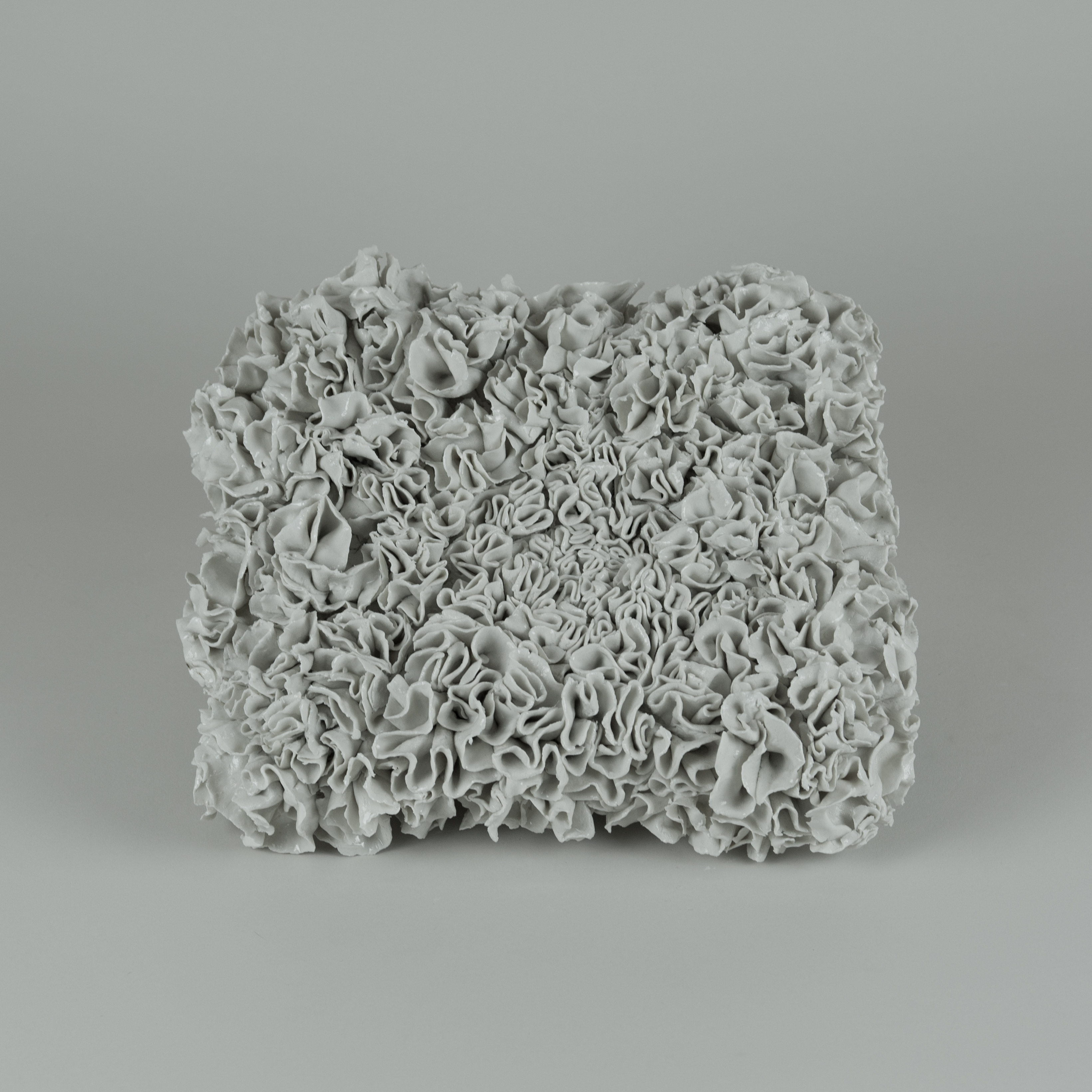Porcelaine avec couverte transparante largeur 19 cm longueur 27