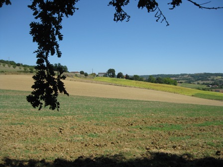 Img 0262