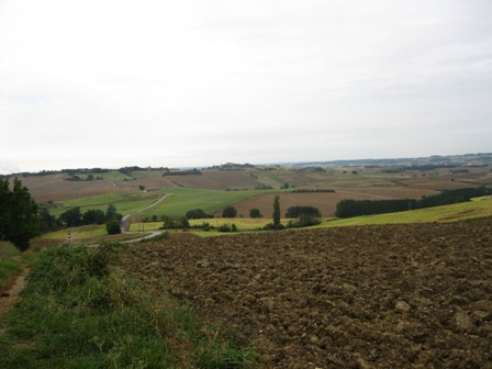 Img 0293