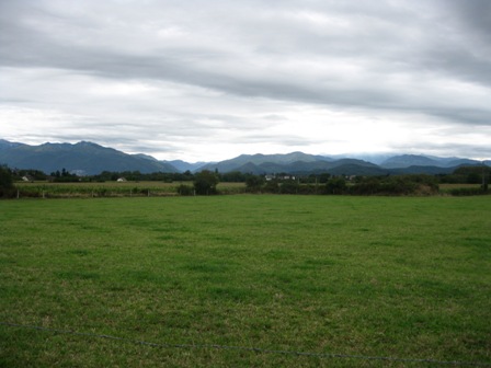 Img 0381