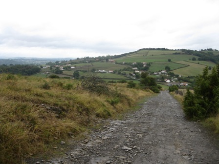 Img 0409