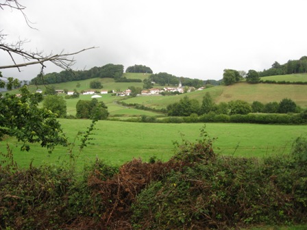Img 0427