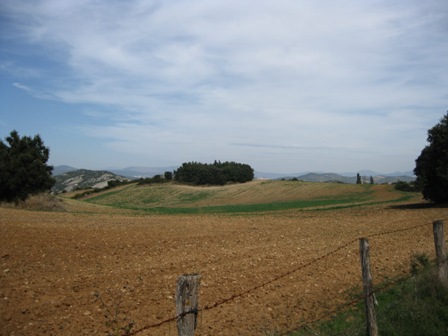 Img 0591