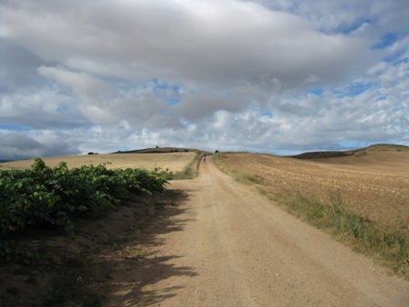 Img 0686