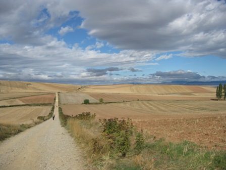 Img 0691