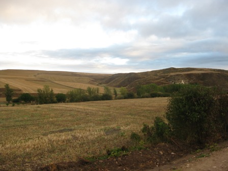 Img 0729