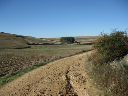 Img 0826