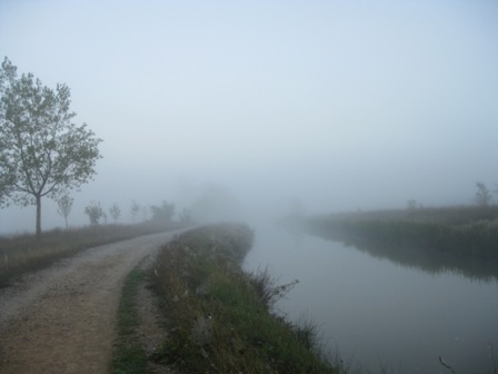 Img 0885