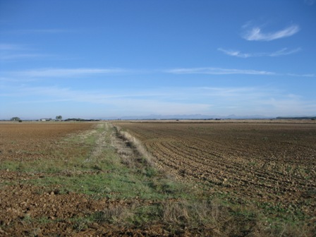 Img 0925