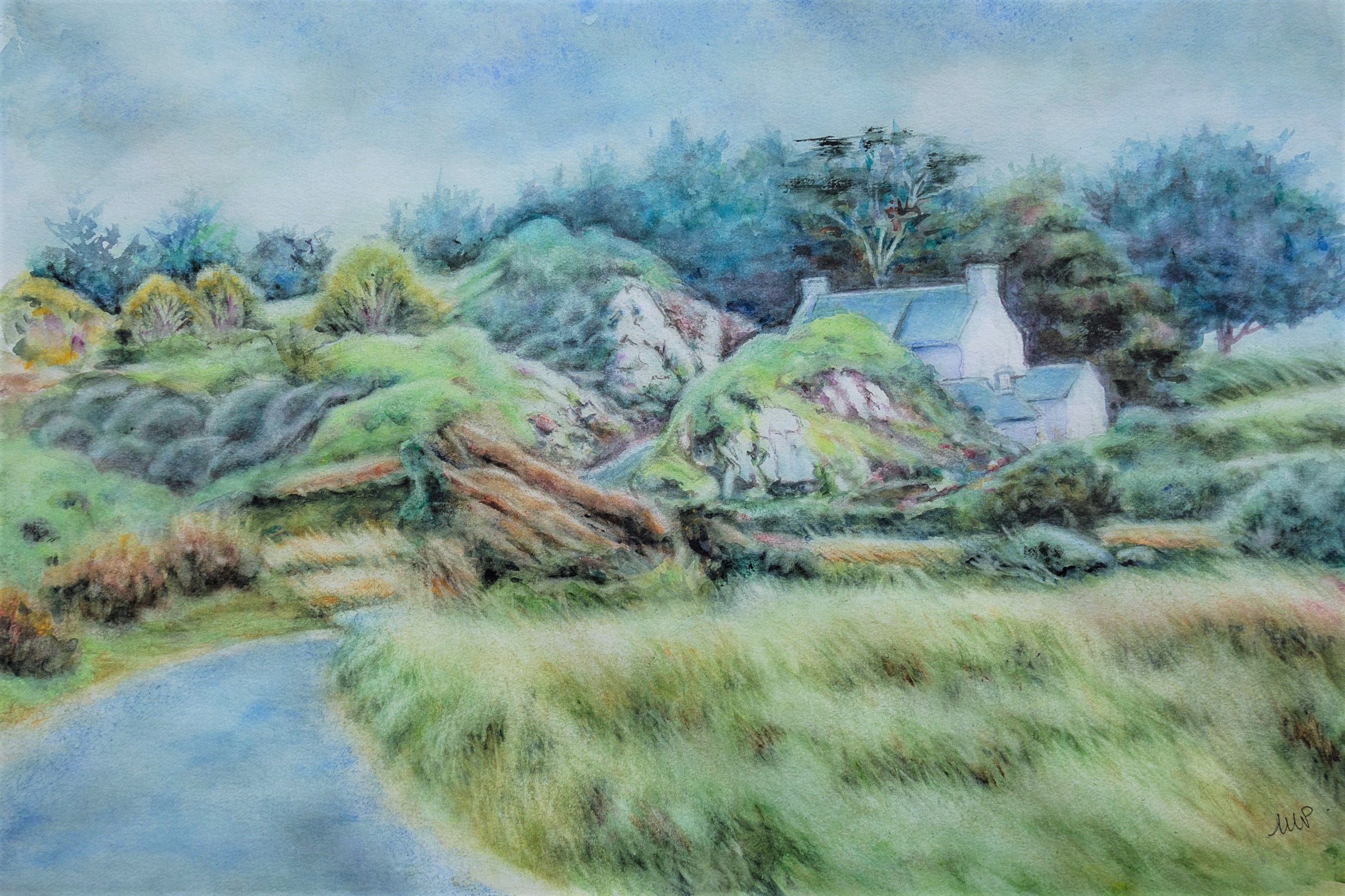 DSC00792 3