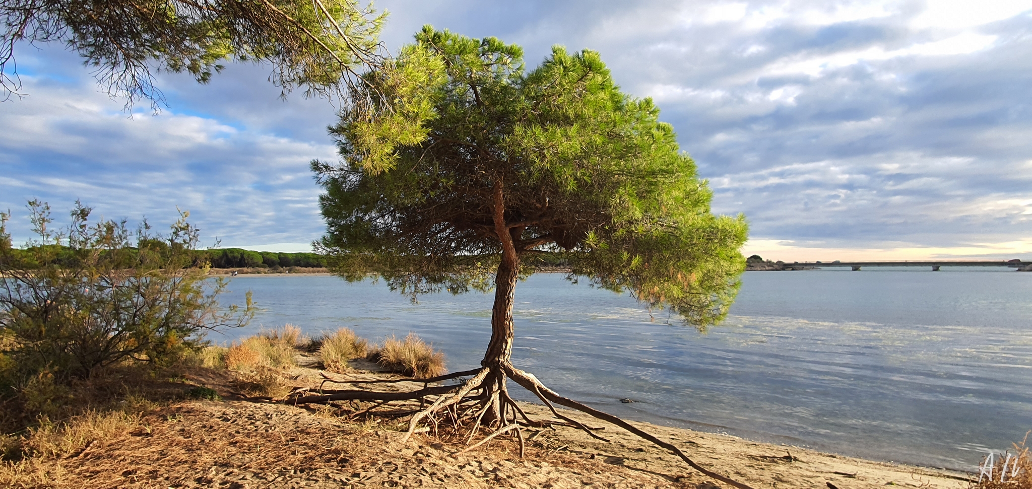 20201028 162938-2048