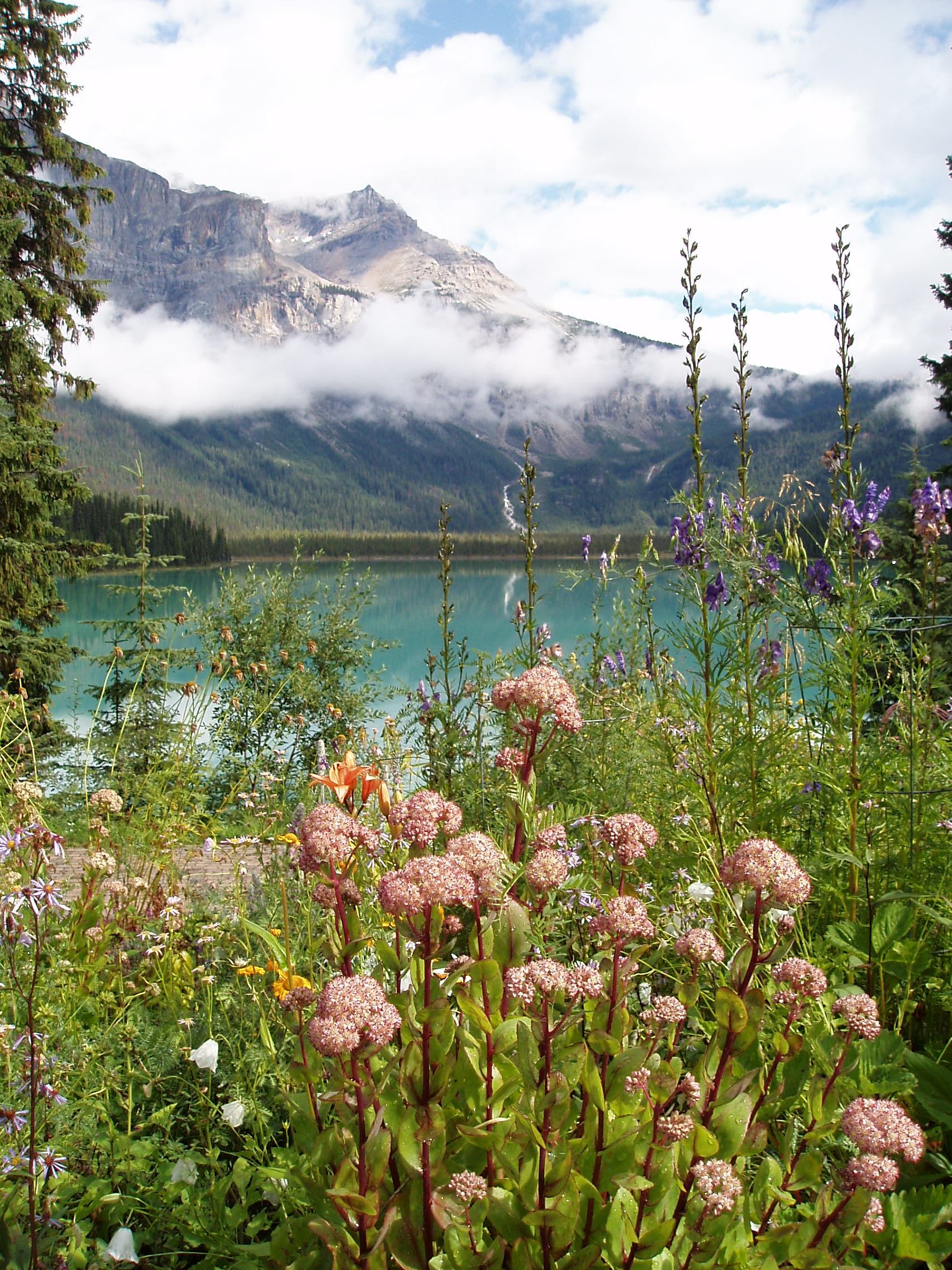 Une belle photographie d'un lac de montagne avec des fleurs pour un visuel optimisé et impactant