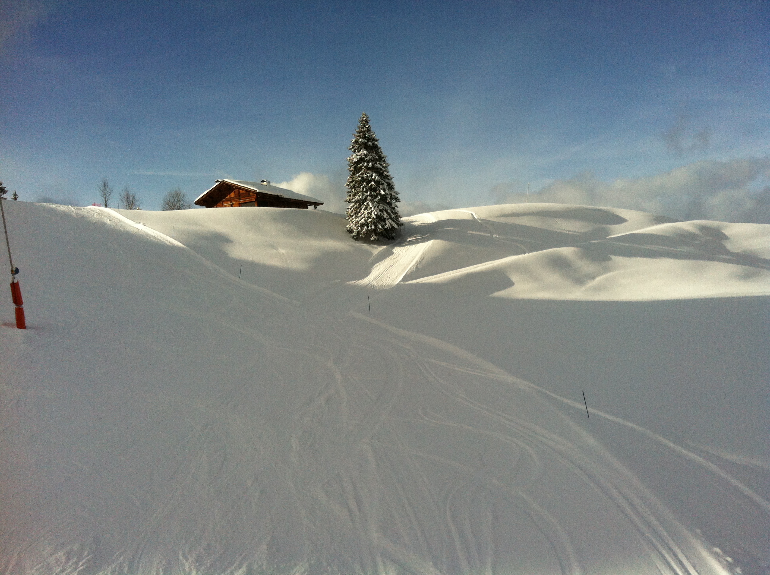 IMG 0021-18-