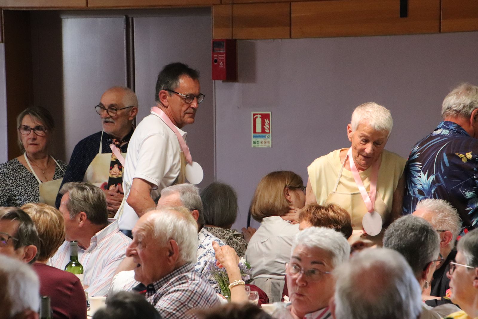Img 1411