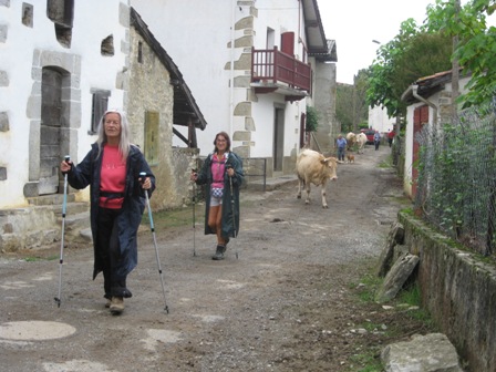 Img 0416