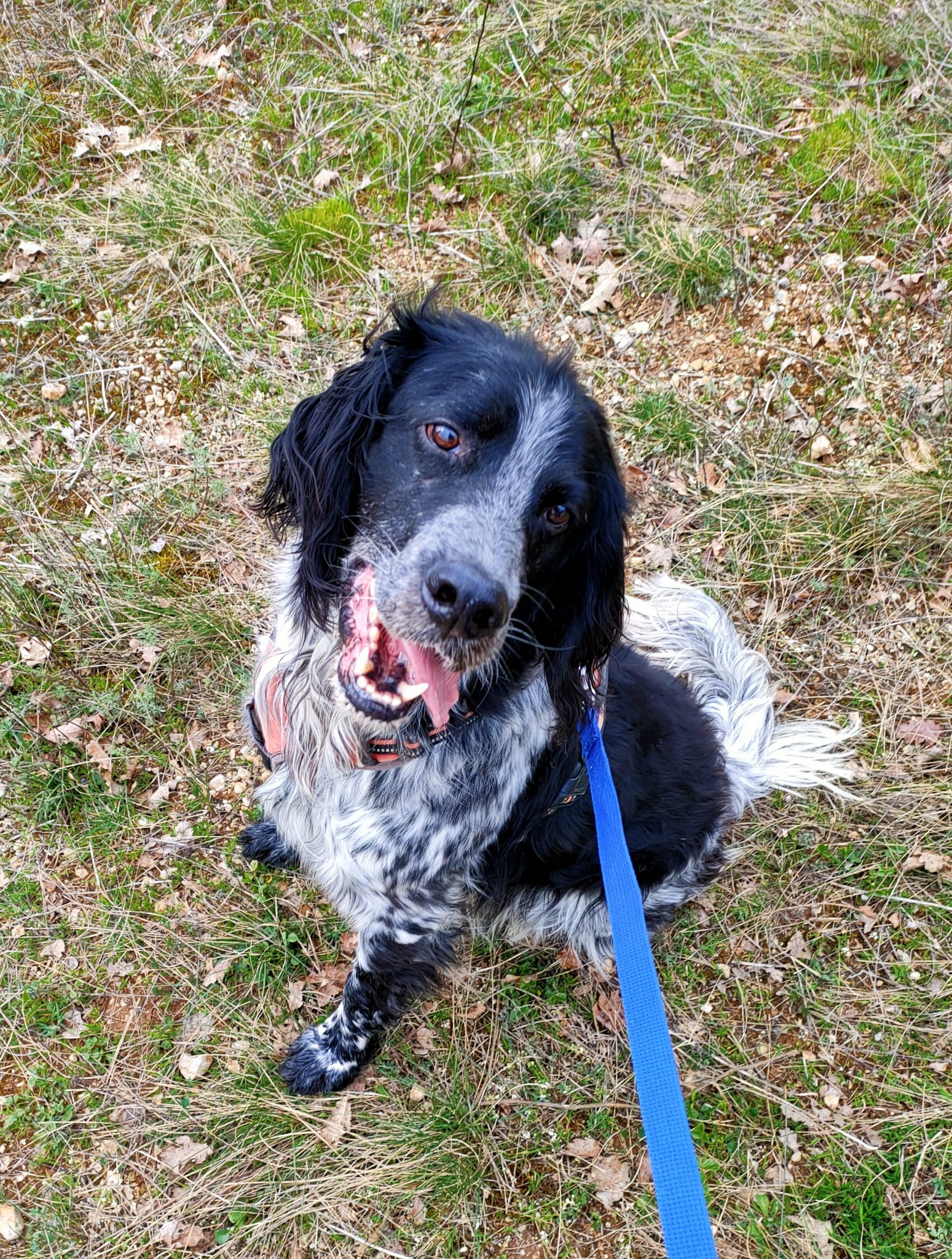 Whatsapp image 2024 03 17 at 19 08 25