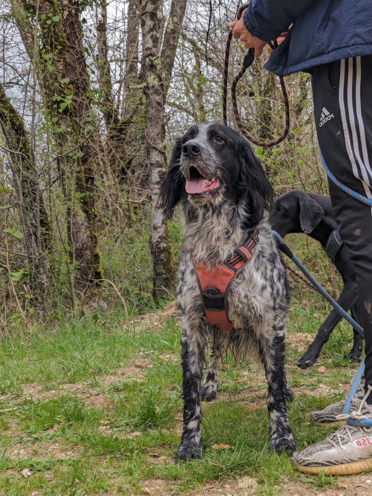 Whatsapp image 2024 03 24 at 17 56 18 2 