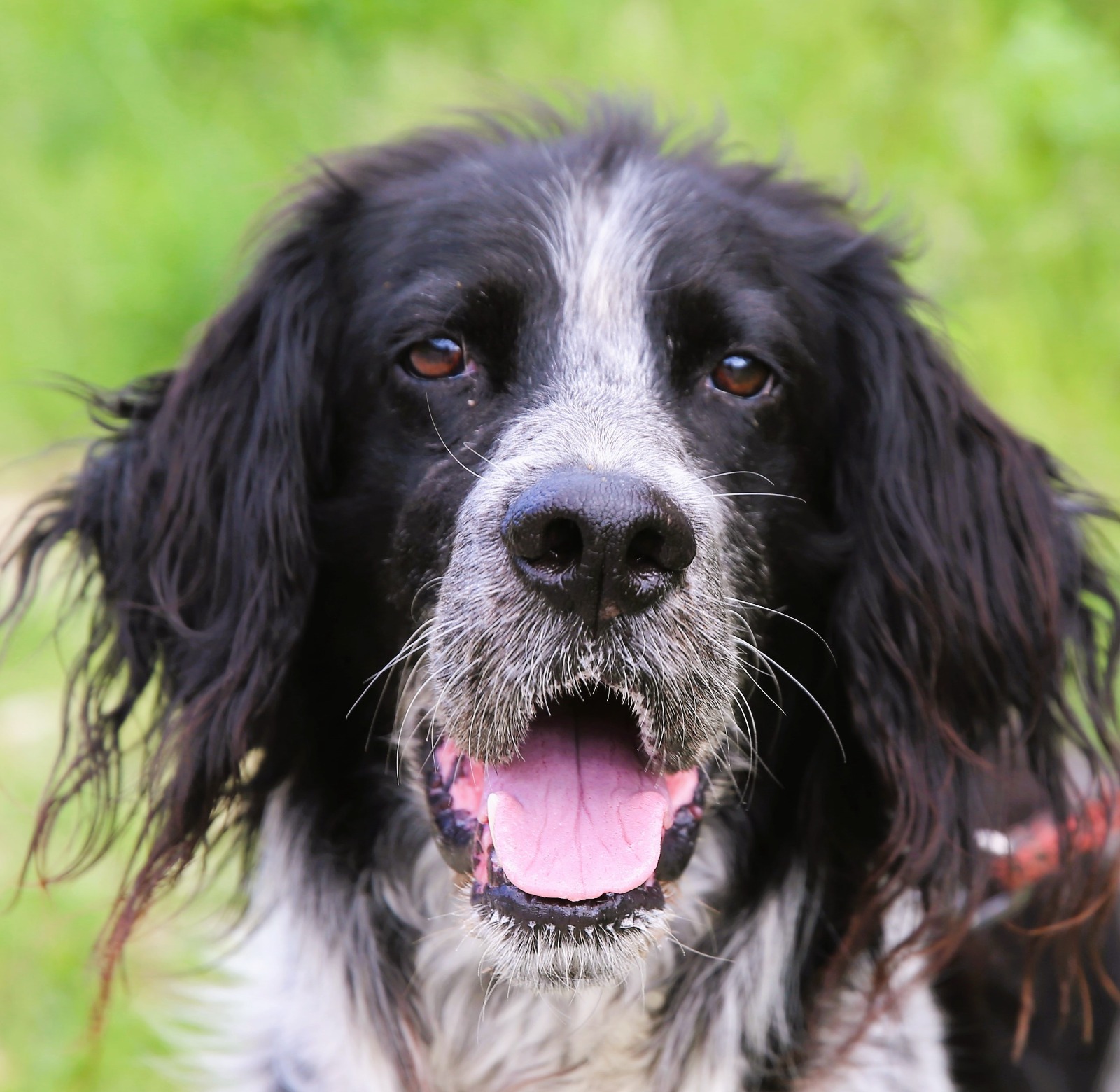 Whatsapp image 2024 05 01 at 16 27 50