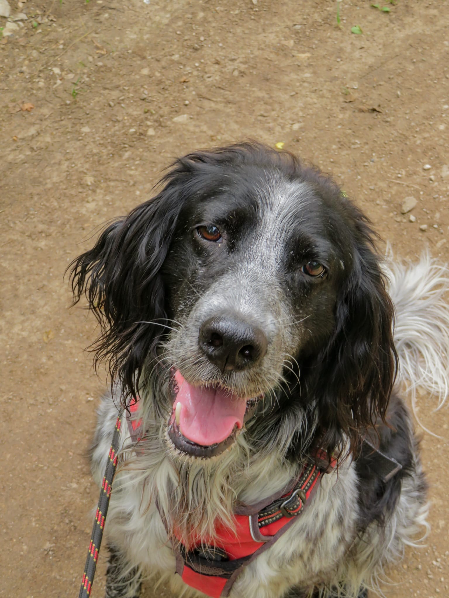 Whatsapp image 2024 06 01 at 19 40 11