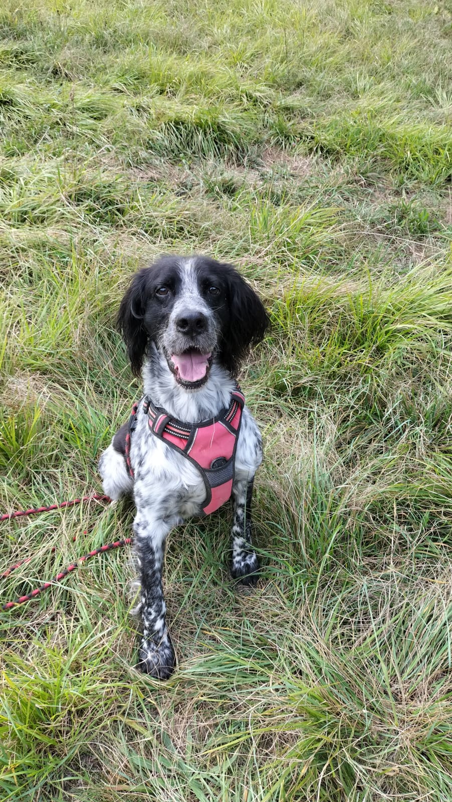 Whatsapp image 2024 09 17 at 19 32 30