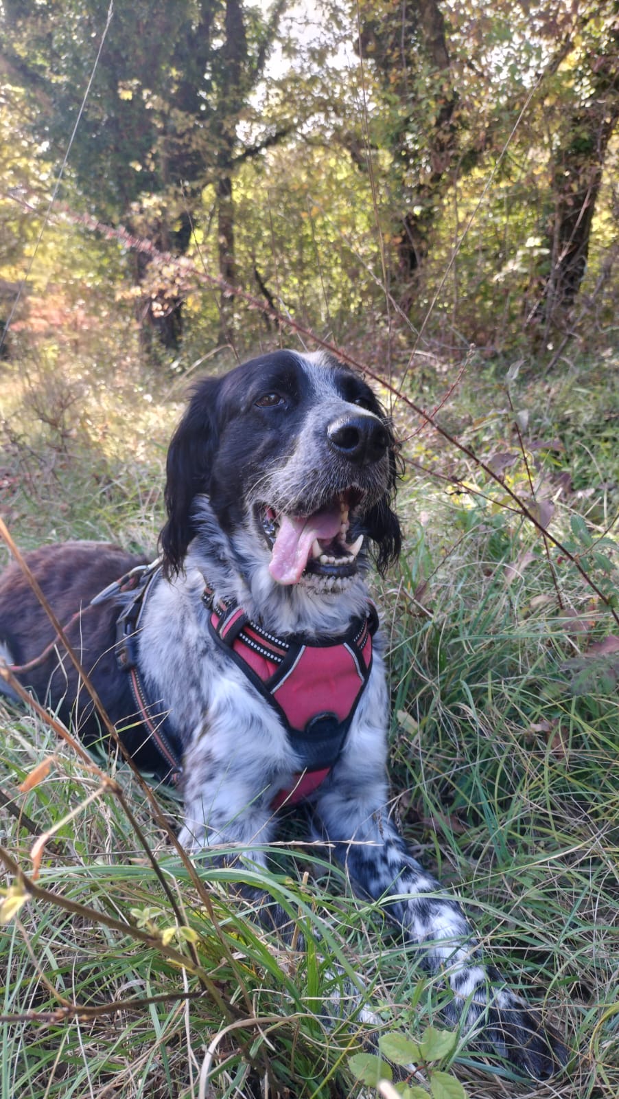 Whatsapp image 2024 10 06 at 18 48 26