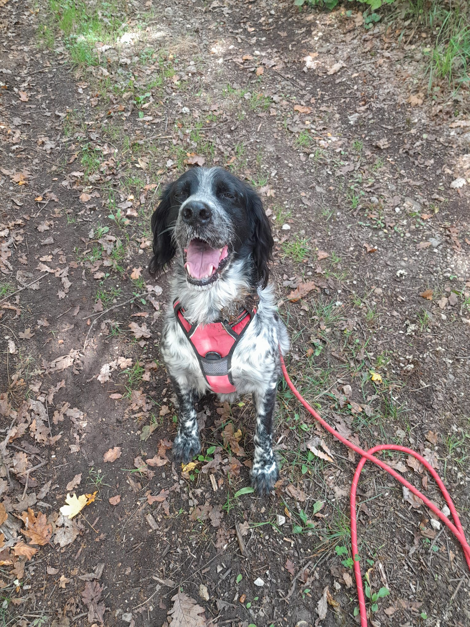 Whatsapp image 2024 10 12 at 18 43 47 1 