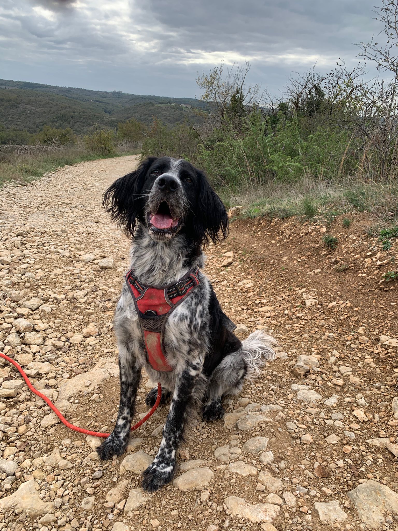 Whatsapp image 2024 10 29 at 19 21 18