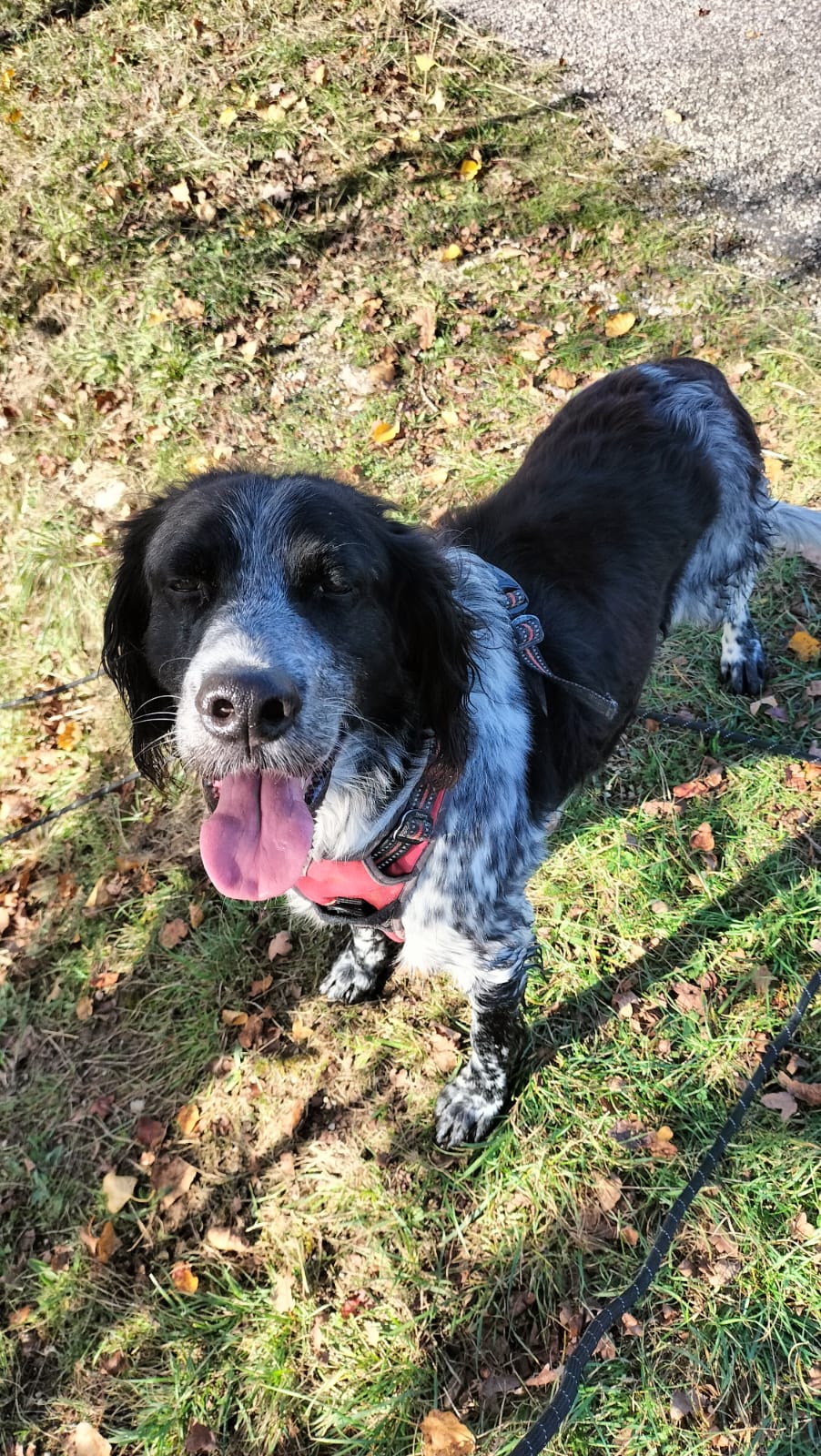 Whatsapp image 2024 10 31 at 19 14 12