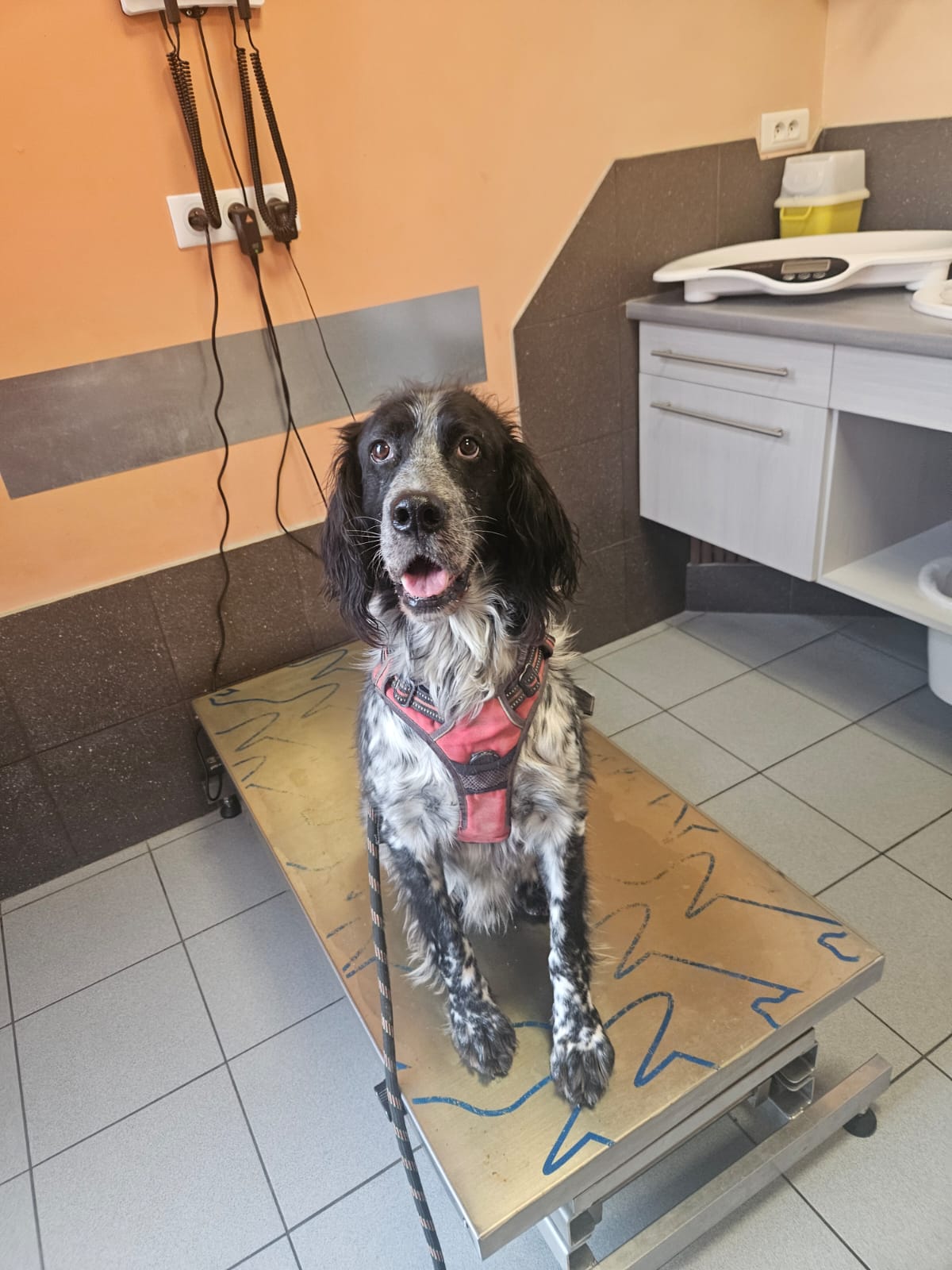 Whatsapp image 2024 11 19 at 18 25 25