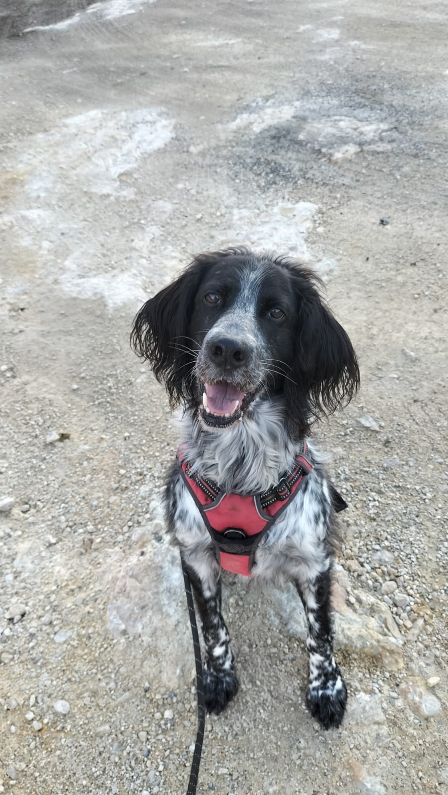 Whatsapp image 2024 11 29 at 18 22 48