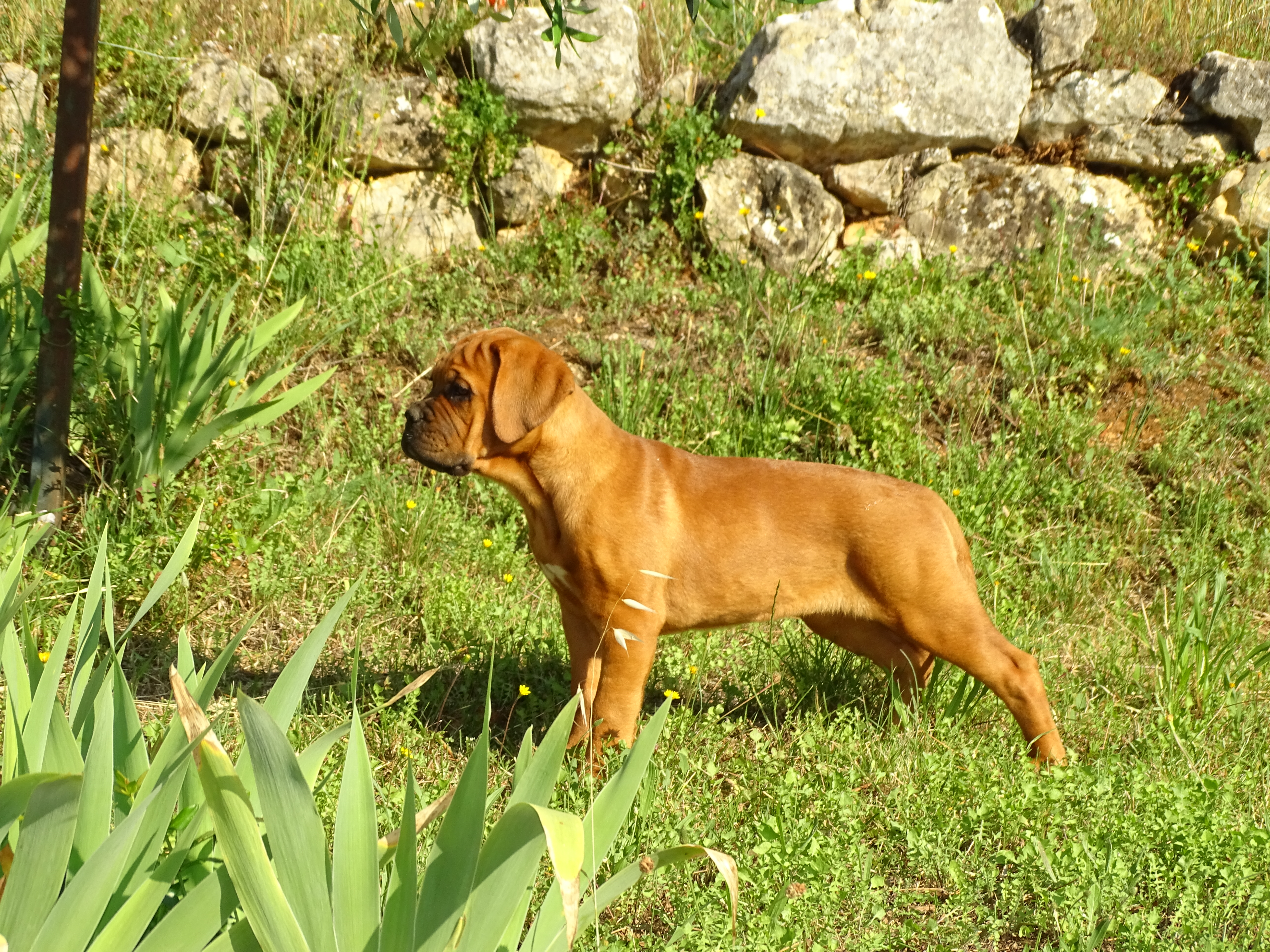 DSC00472