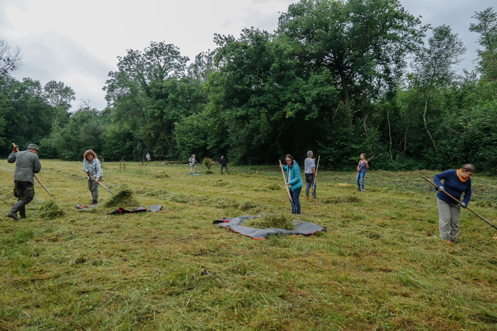 En cn 2025 juin ried eschau 4278