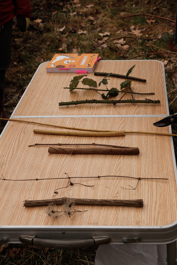 En jp 2025 fevrier parc aux fre nes 3382