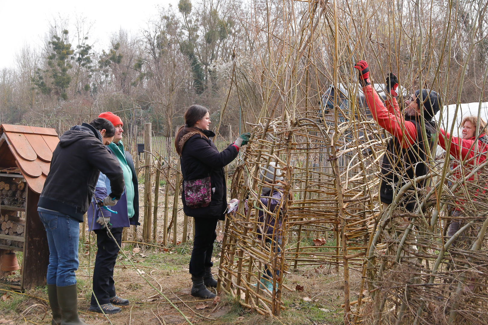 En jp 2025 fevrier parc aux fre nes 3421