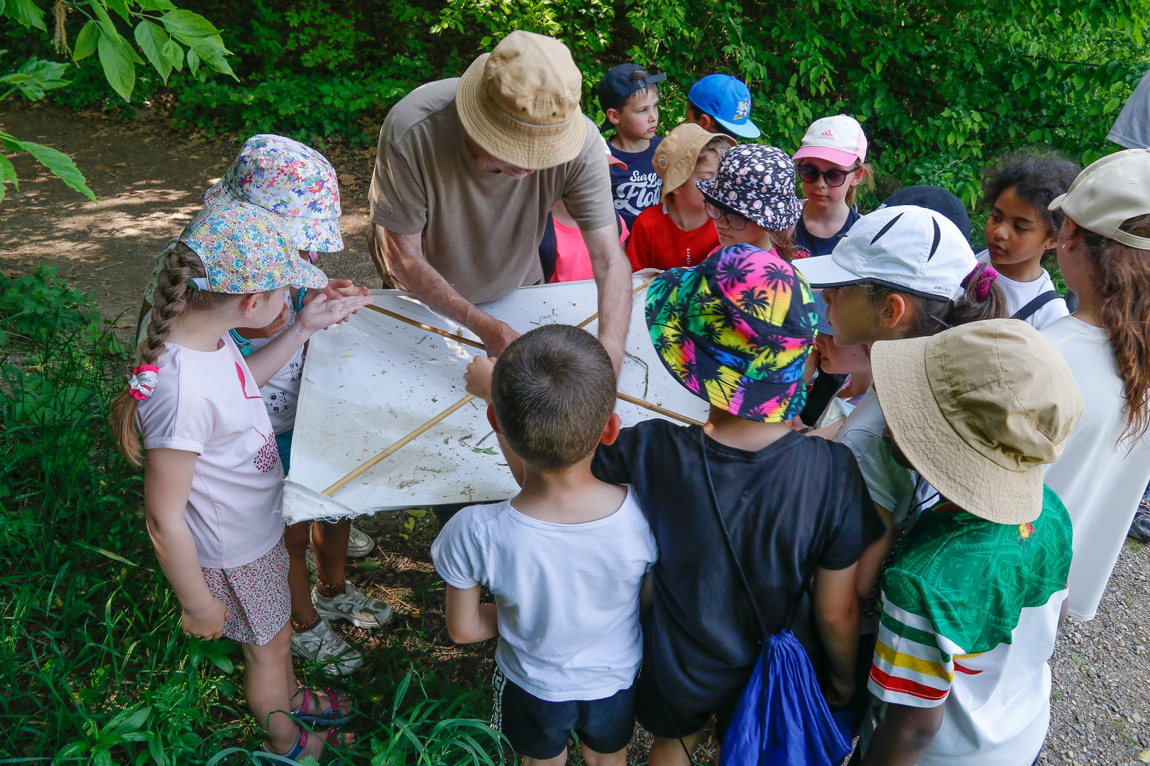 En jp 2025 mai courges 3905