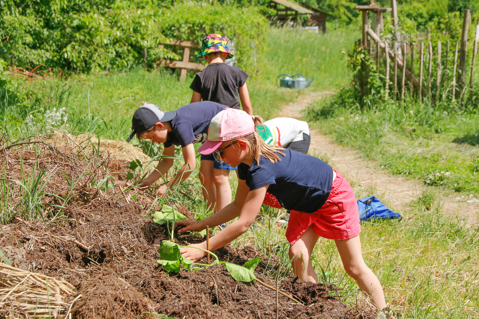 En jp 2025 mai courges 3872