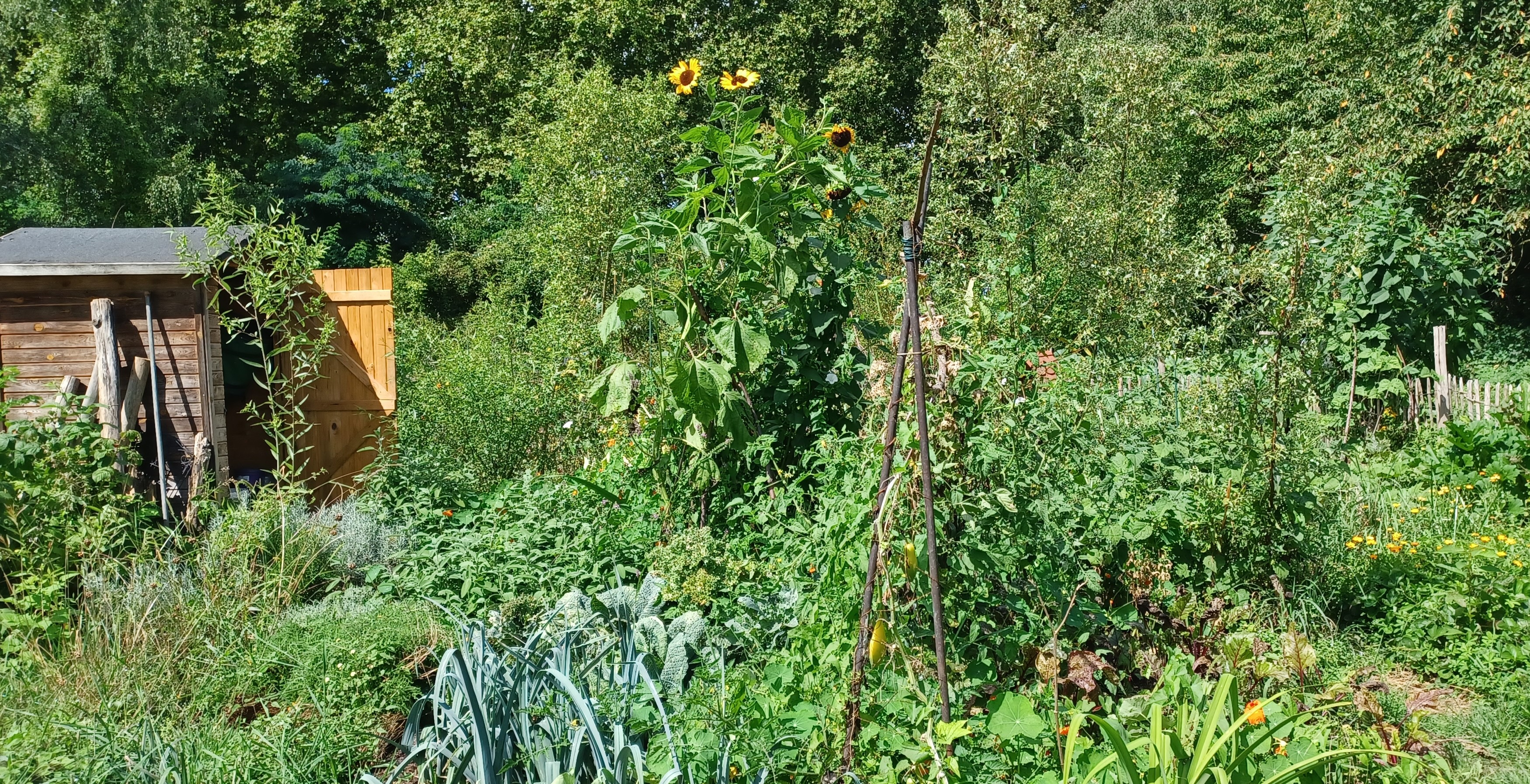 En jardin parc aux frenes 20240825 121756