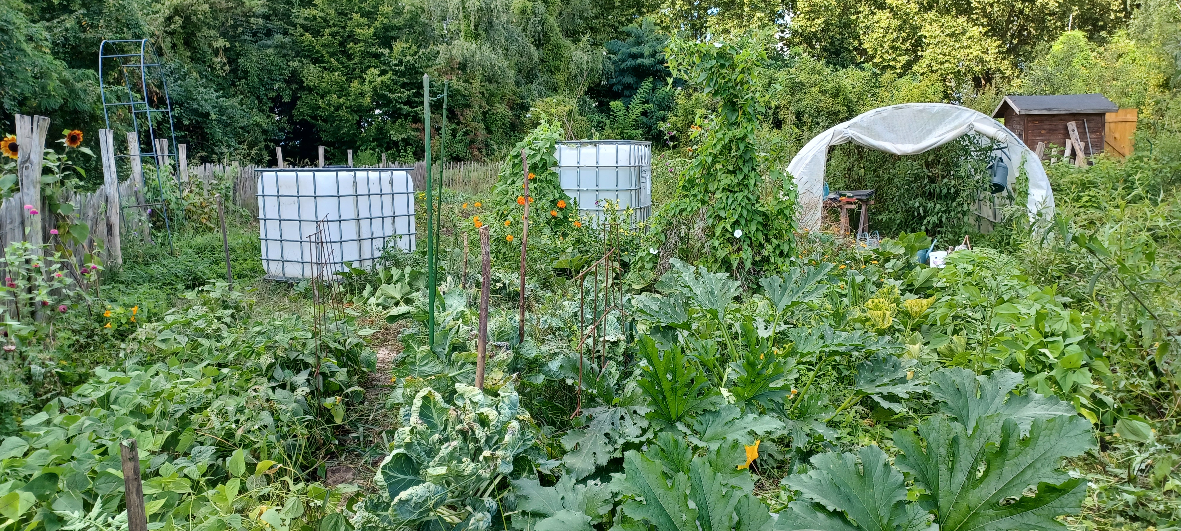 En jardin parc aux frenes 20240825 121538