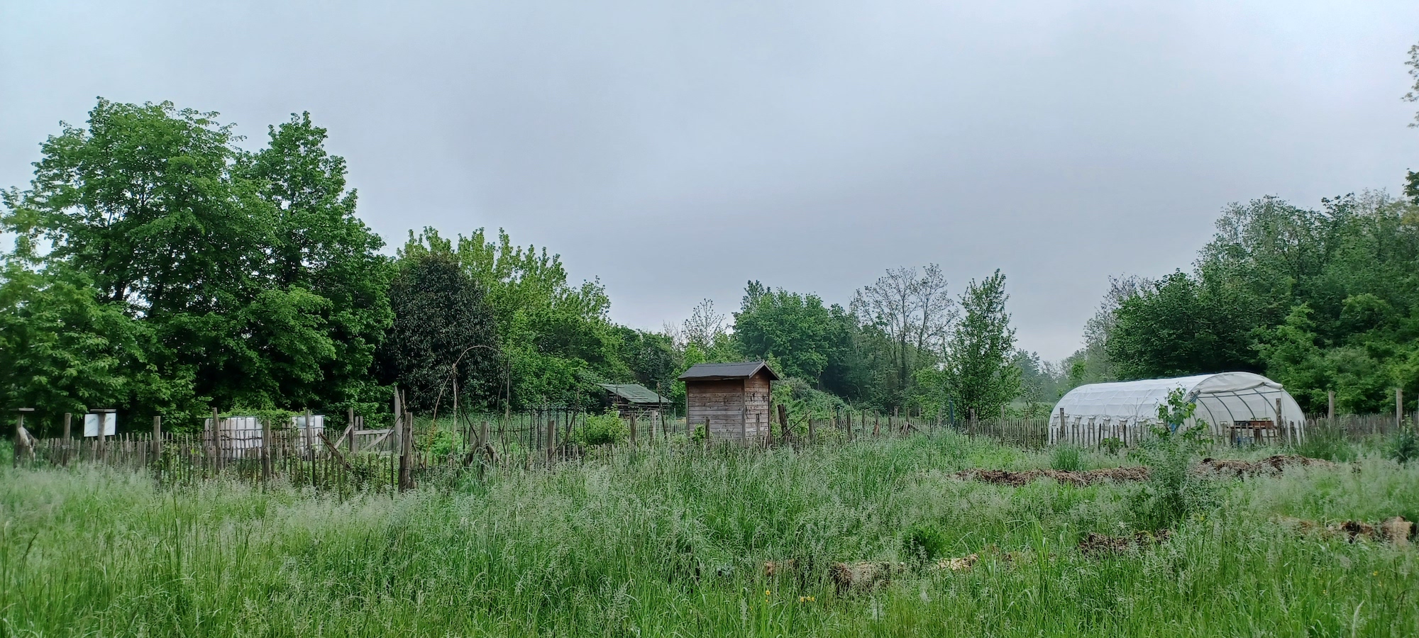 En jardin parc aux frenes 20230606