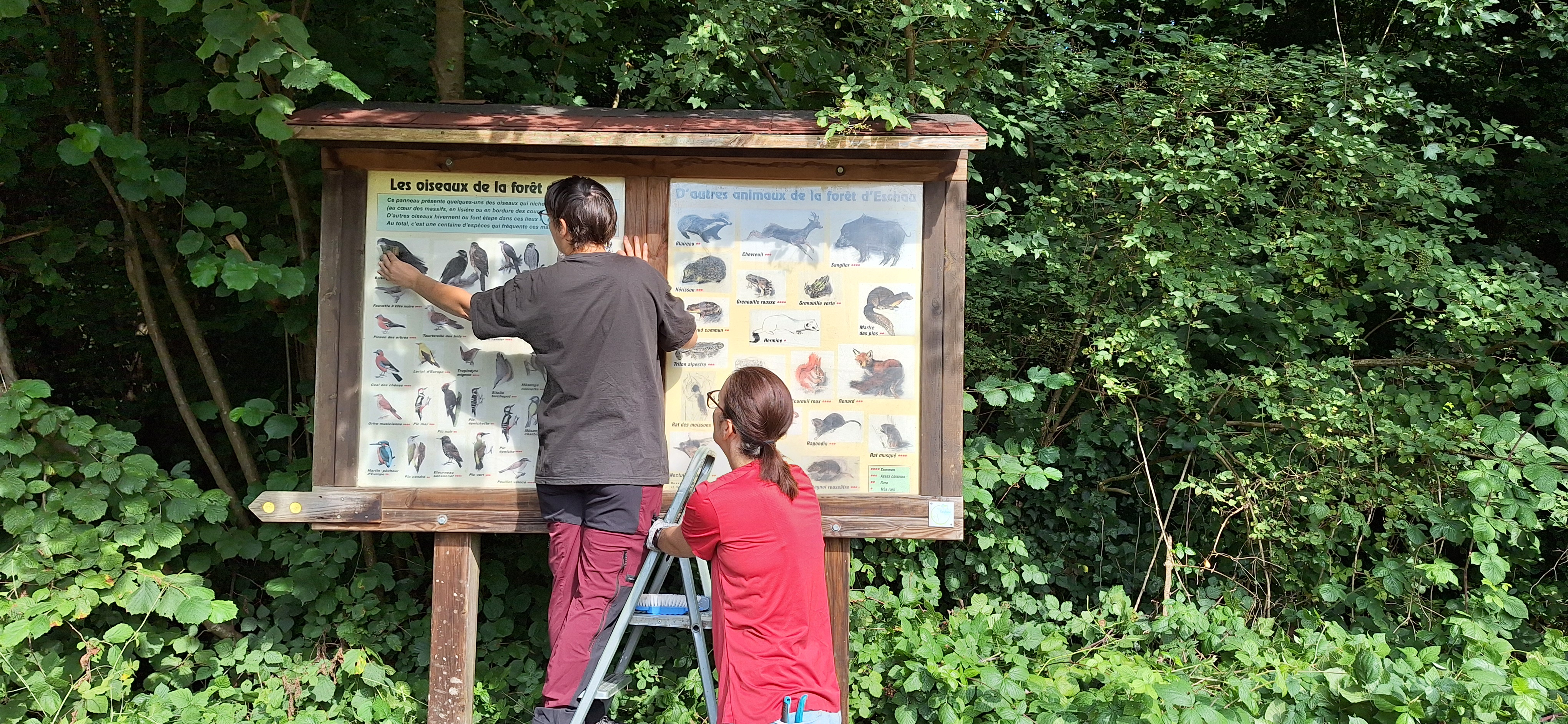 EN SP 2025 Juillet 19 094659