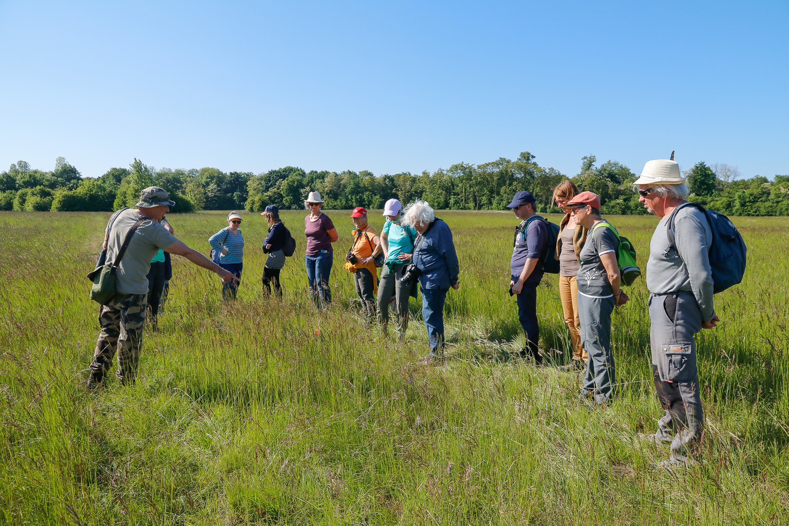 En sn 2025 mai heyssel orchide es 4009