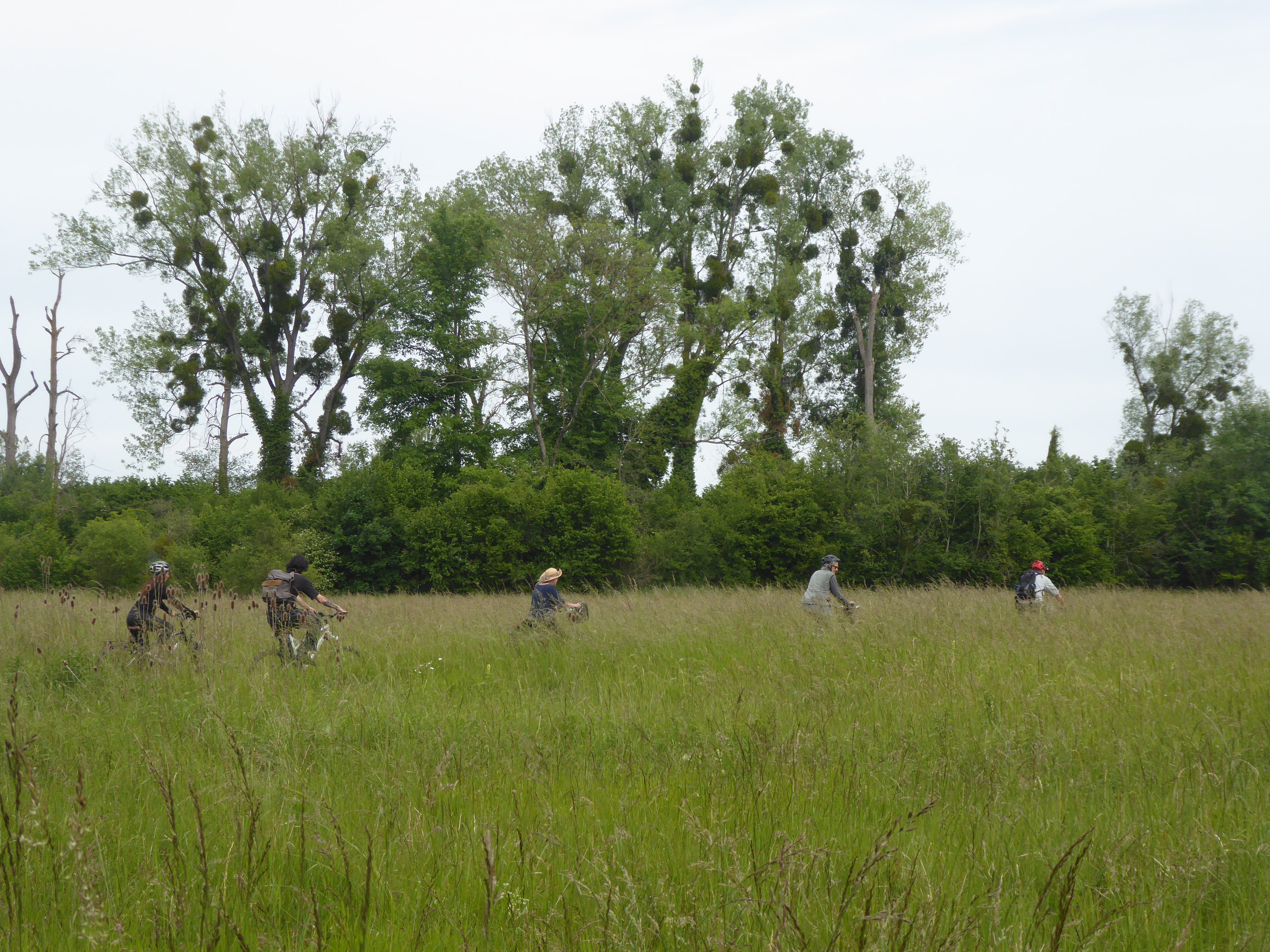 En sn 2025 mai ve lo polder erstein37