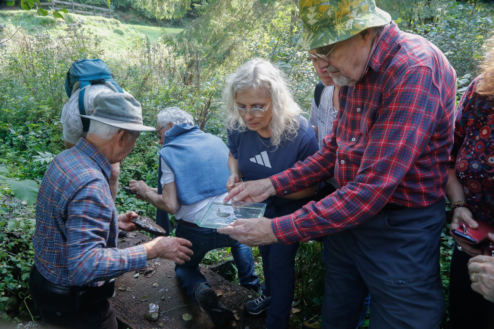 En sn 2025 septembre ge ologie andlau