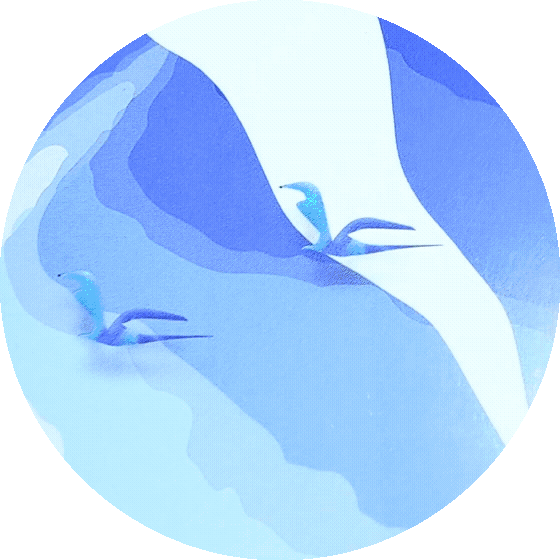 Animation montrant en gros plan les détails géométriques abstraits, les oiseaux et les textures de l'illustration contemporaine du Phare des Baleines par SELESTICA.
